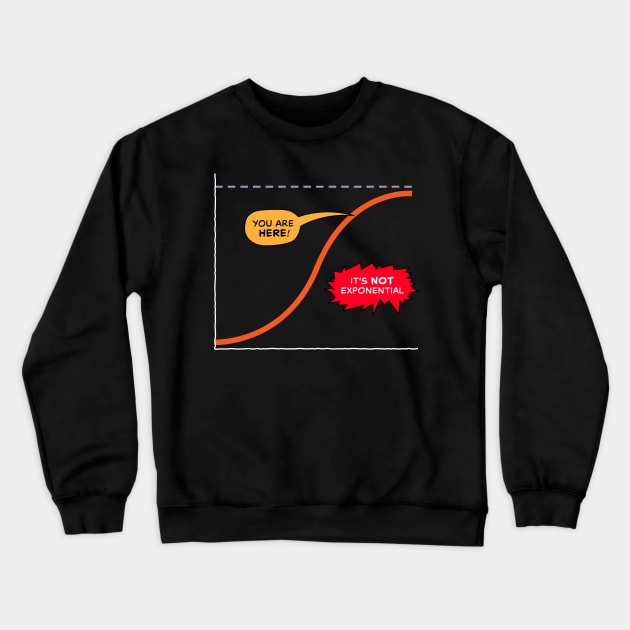 Logistic curve Crewneck Sweatshirt by Inchpenny